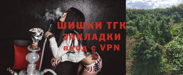 амф Белоозёрский
